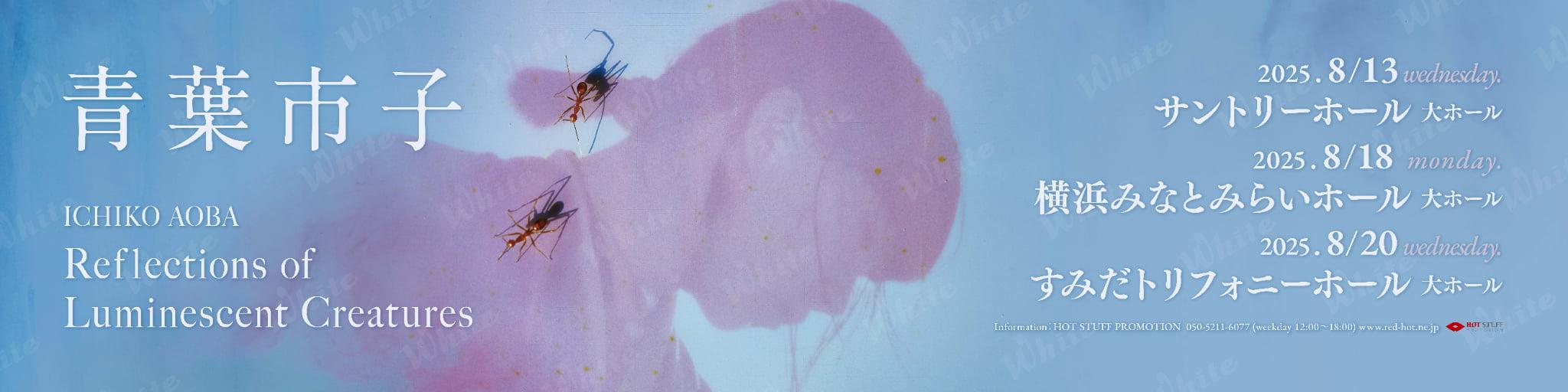 e672c4ff45079a6c1fbf9a07aa1992